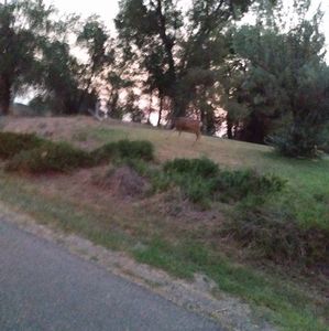 Meet your Posher, Louis